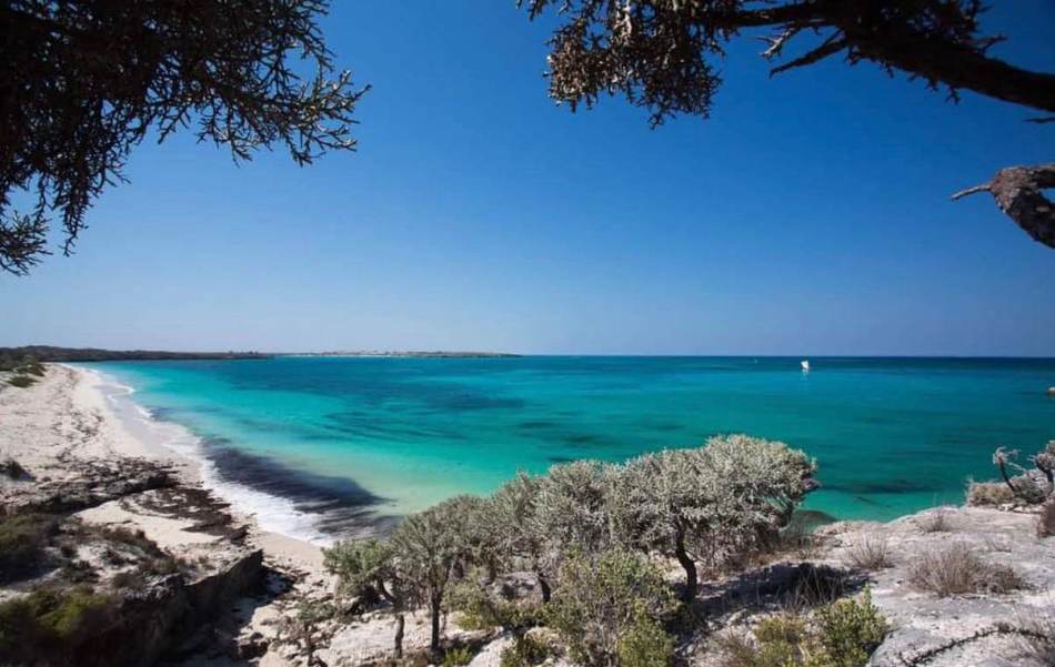 Crique et plage bordée de forêt sèche à Andavadoaka